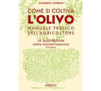 Come si coltiva l'olivo