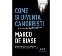 Come si diventa camorristi. La trasformazione della società meridionale