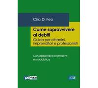 Come Sopravvivere ai Debiti. Guida per Cittadini, Imprenditori e Professionisti