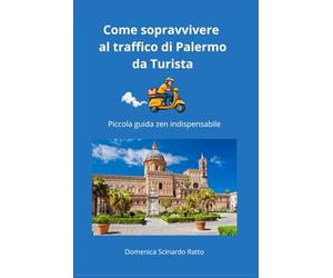 Come sopravvivere al traffico di Palermo da Turista: Piccola guida zen indispensabile