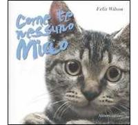 Come te nessuno miao. Ediz. illustrata