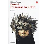 Com'è trascorsa la notte. Il sogno
