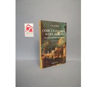 Come un fulmine a ciel sereno. Saggi letterari e recensioni