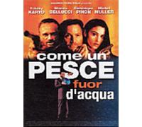 Come Un Pesce Fuor D'acqua