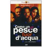 Come Un Pesce Fuor D'Acqua