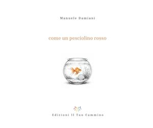 Come un pesciolino rosso