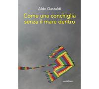 Come una conchiglia senza il mare dentro - 2019 - Araba Fenice