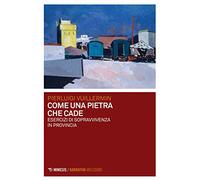 Come una pietra che cade. Esercizi di sopravvivenza in provincia