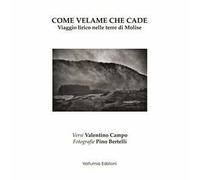 Come velame che cade. Viaggio lirico nelle terre di Molise. Ediz. illustrata