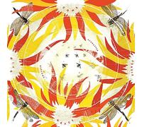 Come With Fierce Grace