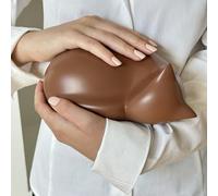 Comemori urna funeraria gatto che dorme, Marrone