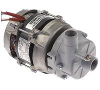 comenda pompa zf170sx 0,3 KW/0,41ps per lavastoviglie 230 V ingresso uscita Ø 28 mm diametro 26 mm lunghezza 195 mm 50 Hz