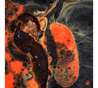 Comet Is Coming - Death To The Planet