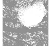 Comets On Fire Field Recordings from the Sun 12" Album