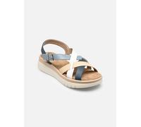 Comfeet - CANDIDO W10401 Blu - Sandali e scarpe aperte 36 Blu