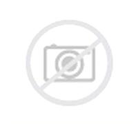 COMFORSER CF 300 205/65 R16 107/105T TL