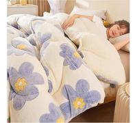 Comfort Premium Quality Heavy Weight Bed Blanket Piumini Reversibili in Piuma Alternativa, Trapunta in Velluto di Agnello Morbido Super Caldo, Biancheria da Letto Calda Invern, B, 150x200cm(3kg)