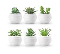 ComfyHarbor Set di 6 piante grasse artificiali in vaso, per mini piante grasse finte in plastica, per casa, ufficio, bagno, scrivania, decorazione realistica, senza manutenzione, 5,8 x 5,8 x 8,9 cm