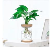 ComfyHarbor Vaso da fiori trasparente, in PET trasparente, per piccole piante in vaso, contenitore traspirante autoirrigante, per giardino, camera da letto, balcone e uso per l'allevamento dei pesci
