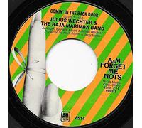 Comin' In The Back Door/Moonglow/Picnic Theme