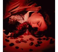 Coming Up Roses How Did We Fall So Far? (Vinyl LP)