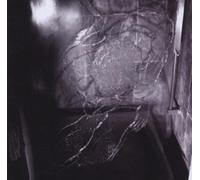 Comity - As Everythings Is a Tragedy