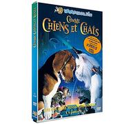 Comme chiens et chats