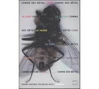 Comme des bêtes. Ours, chat, cochon & Cie. Ediz. illustrata - Fibicher Bernhard