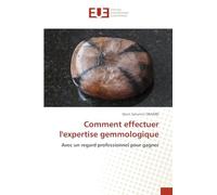 Comment effectuer l'expertise gemmologique: Avec un regard professionnel pour gagner