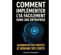 Comment implémenter l'IA facilement dans une entreprise. Augmenter ses profits et réduire ses coûts.