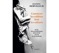 Comment les rabbins font les enfants: Sexe, transmission, identité dans le judaïsme