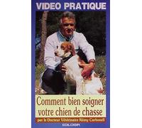 Comment soigner son chien de chasse