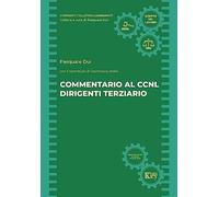 Commentario al CCNL dirigenti terziario