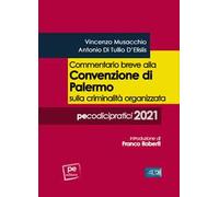 Commentario breve alla Convenzione di Palermo sulla criminalità organizzata