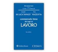 Commentario breve alle leggi sul lavoro