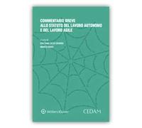 Commentario breve allo statuto del lavoro autonomo e del lavoro agile
