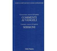 Commento ai vangeli. Sermoni (Vol. 4/1)
