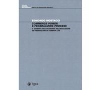 COMMERCE POWER E FEDERALIZING PROCESS. IL GOVERNO DELL'ECONOMIA NELL'EVOLUZIONE