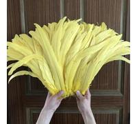 Commercio all'ingrosso 100 pezzi piume di pollo gallo bianco grezzo/bianco sporco lunghezza 25-30 cm decorazioni di piume di coda di gallo-giallo