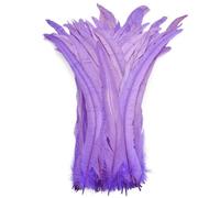 Commercio all'ingrosso 100 Pz/lotto Tutte le Dimensioni Piume Gallo Colorate per Artigianato Lungo Decorazione di Nozze Casa Festa 2235 10-12 pollici 25-30cm