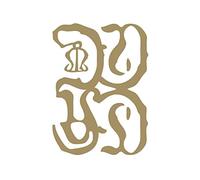 Common Eider - King - A Wound Of Earth