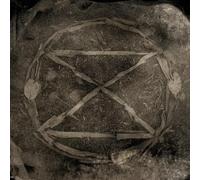 Common Eider, King Eider Extinction (CD) Album