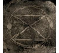 Common Eider, King Eider Extinction (CD) Album