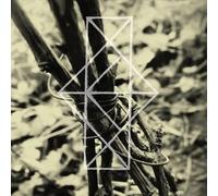 Common Eider, King Eide Shrines for the Unwanted, Respite for the Cast Asid (CD)