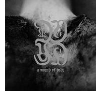 COMMON EIDER KING EIDER - WOUND OF BODY