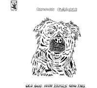 Common Grackle Old Dog New Tricks How This (Vinyl LP) 12" Album