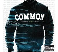 Common - Invincible Summer