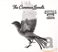 Common Linnets - Common Linnets