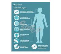 Common Ovulation Indicators Poster for Female Health Rooms