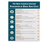 Common Parasites in Dogs Cats Educational Veterinary Chart